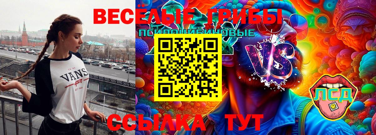 Псилоцибиновые грибы Magic Shrooms Всеволожск